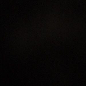 Meet your Posher, Lexi